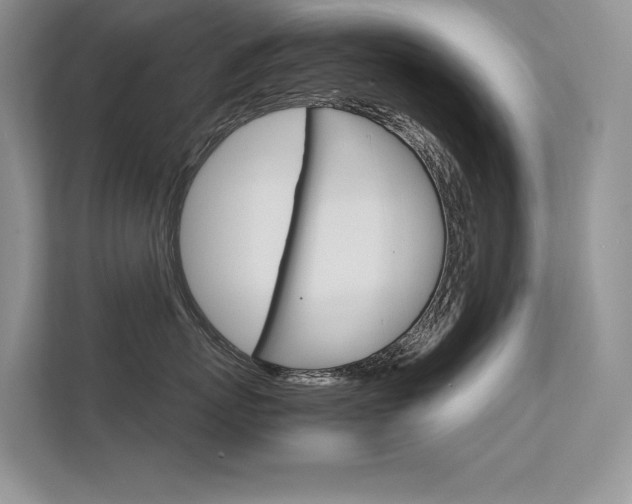 X0000112400767200908141005