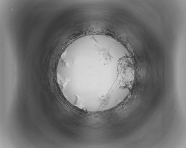 X0000112400769200908141004