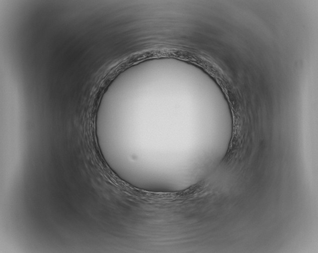 X0000112400773200908141004