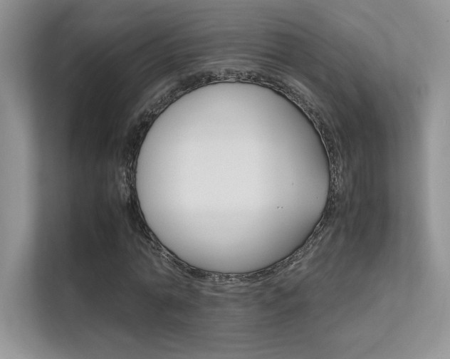 X0000112400774200908141004
