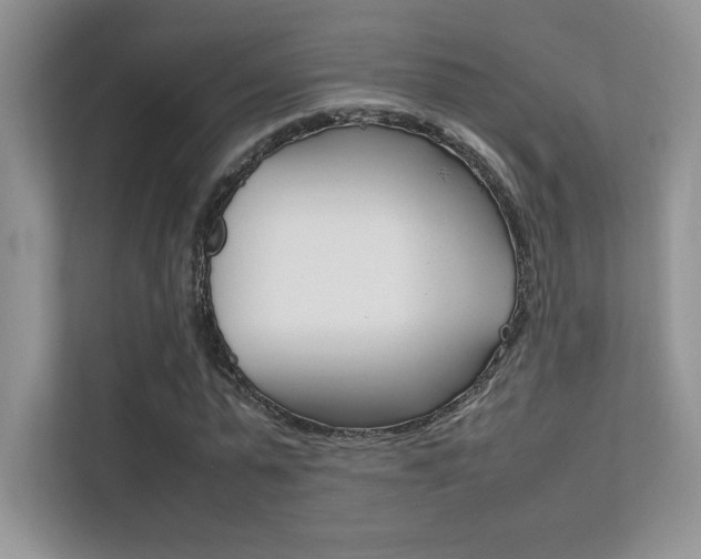 X0000112400775200908141004