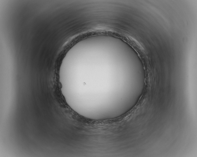 X0000112400776200908141004