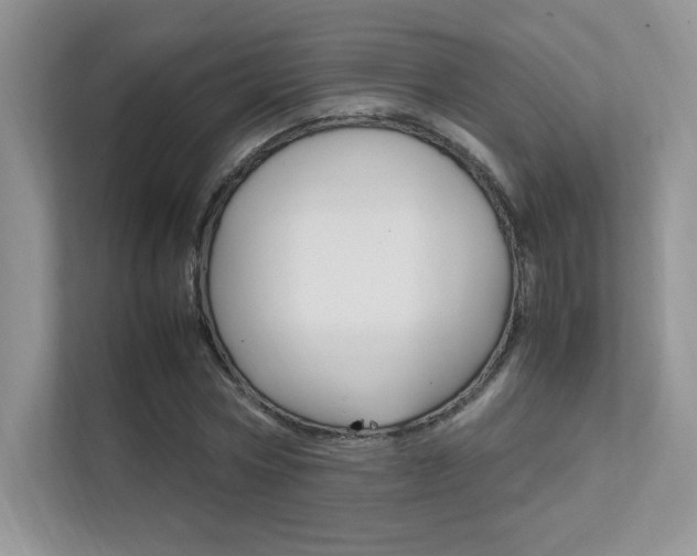 X0000112400778200908141004
