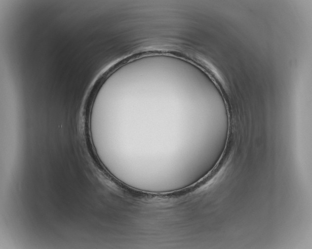 X0000112400779200908141004