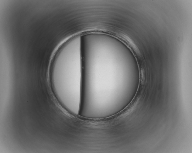 X0000112400780200908141004