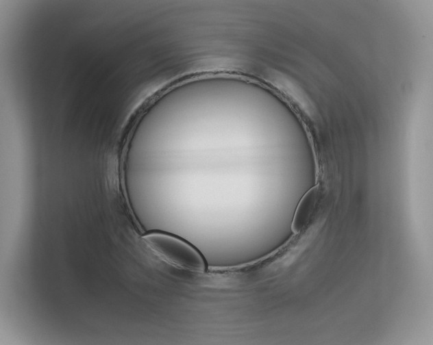 X0000112400781200908141004