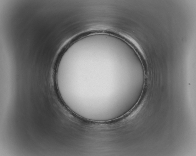 X0000112400783200908141004
