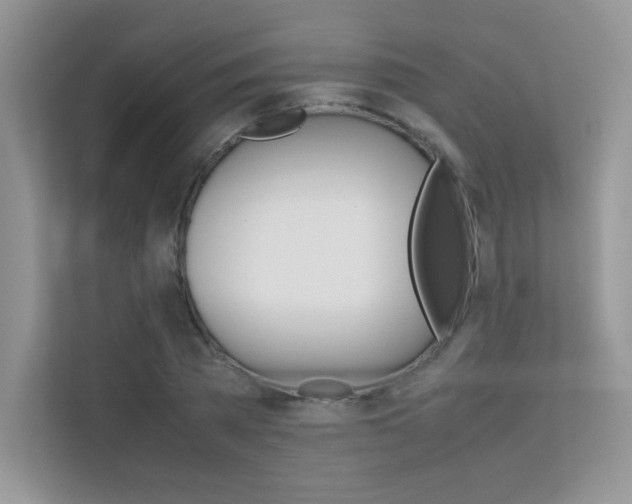 X0000112400785200908141004