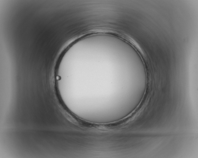 X0000112400787200908141004