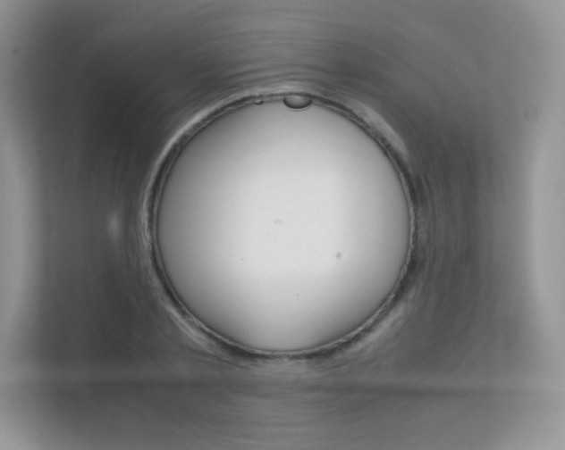 X0000112400789200908141004