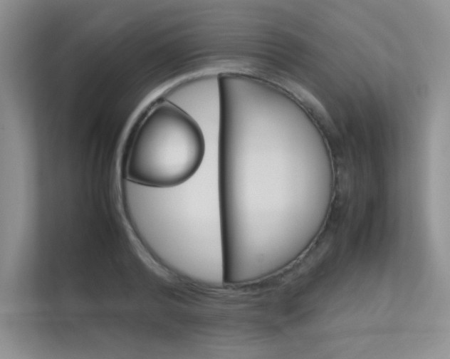 X0000112400792200908141004