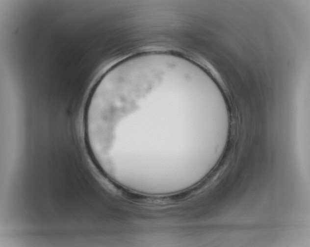 X0000112400795200908141004