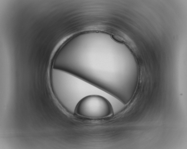 X0000112400796200908141004
