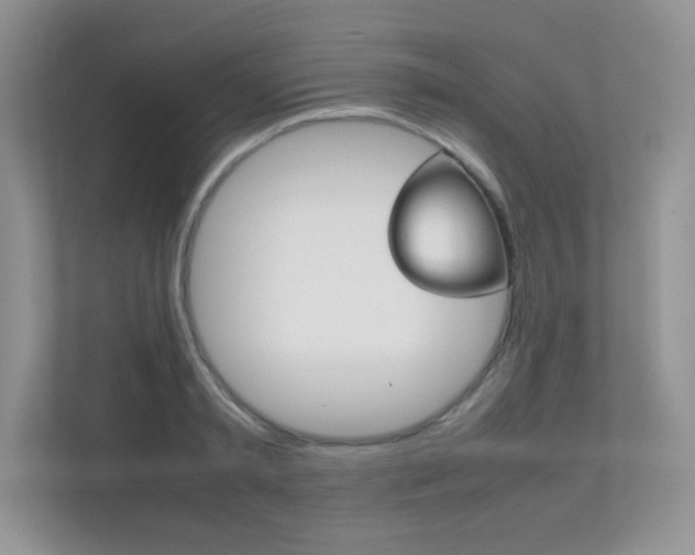 X0000112400797200908141004