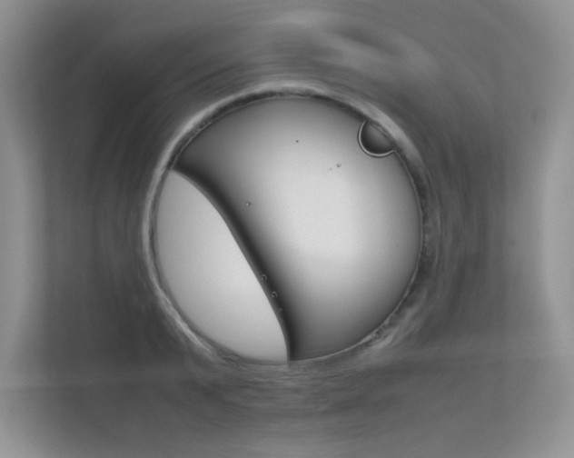X0000112400799200908141004