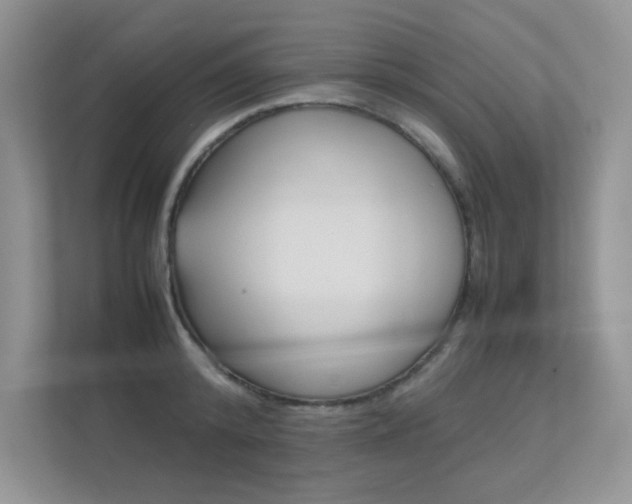 X0000112400800200908141004