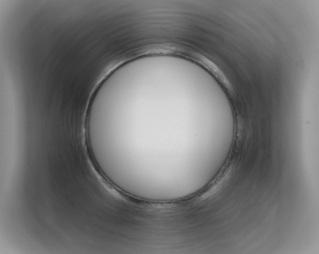 X0000112400802200908141004