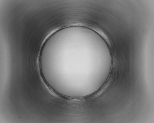 X0000112400806200908141004