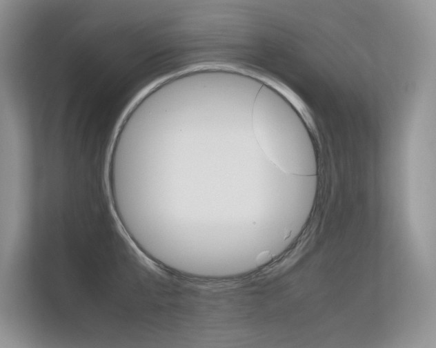 X0000112400807200908141004