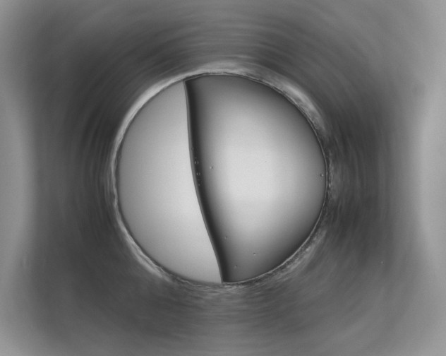 X0000112400808200908141004
