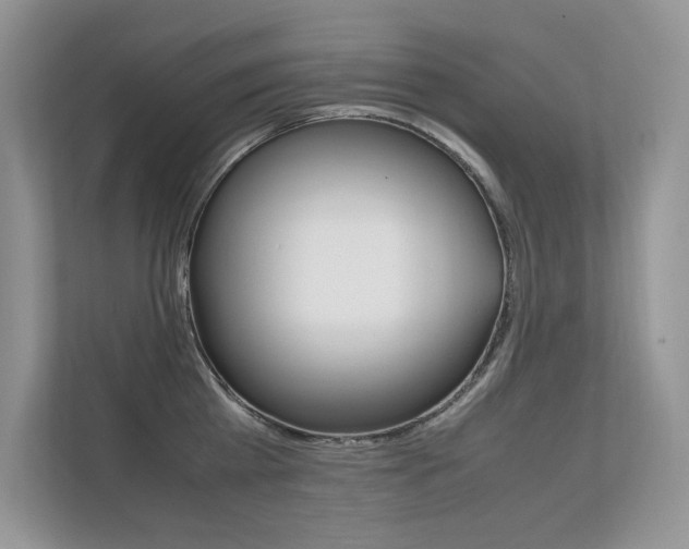 X0000112400809200908141004
