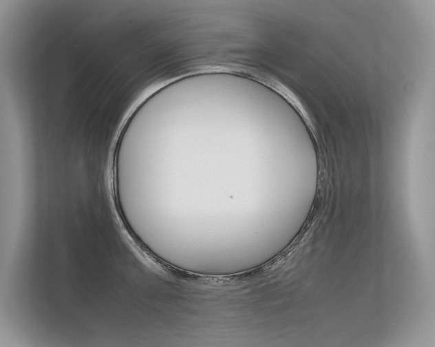 X0000112400811200908141004