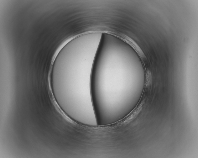 X0000112400812200908141004