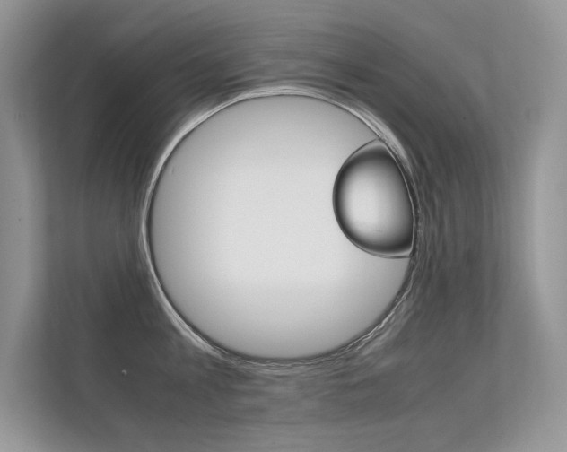X0000112400813200908141004