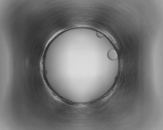 X0000112400814200908141004