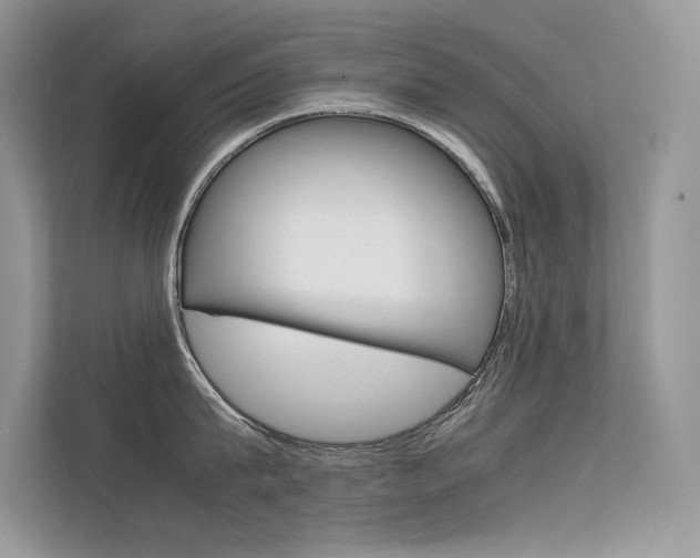 X0000112400815200908141004