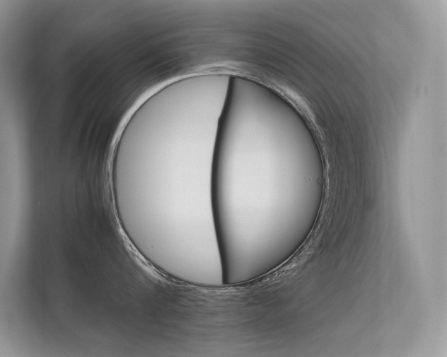 X0000112400816200908141004