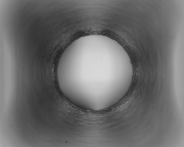 X0000112400818200908141003