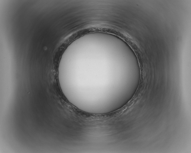 X0000112400822200908141003