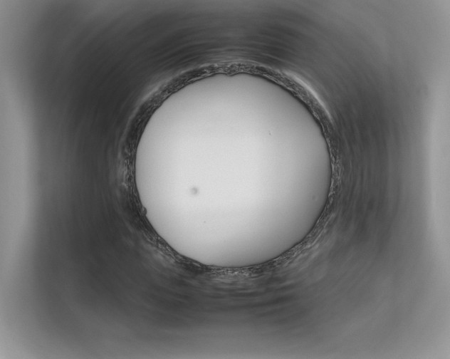 X0000112400823200908141003
