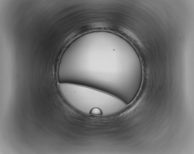 X0000112400825200908141003