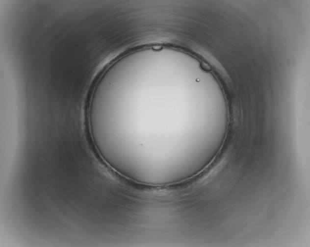X0000112400834200908141003