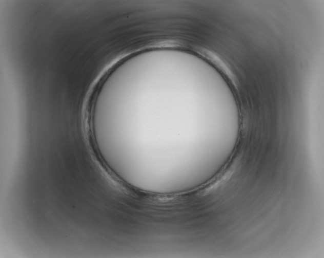 X0000112400835200908141003