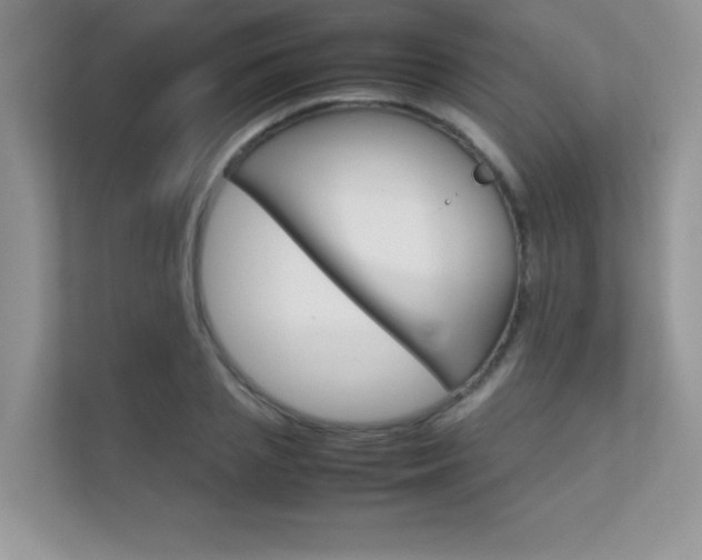 X0000112400837200908141003