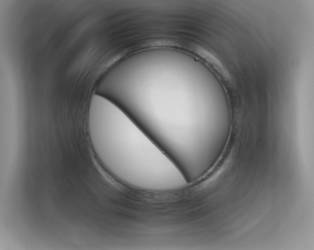 X0000112400841200908141004