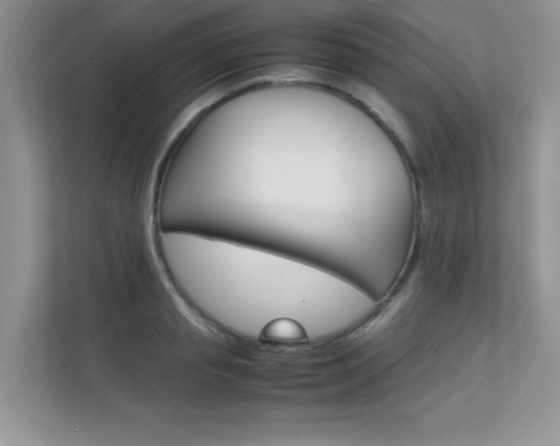 X0000112400845200908141004