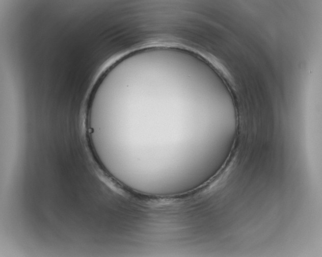 X0000112400846200908141004