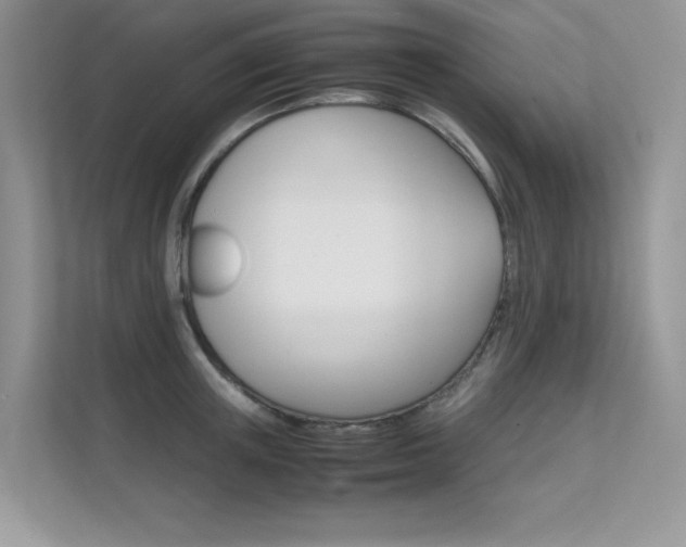 X0000112400851200908141004