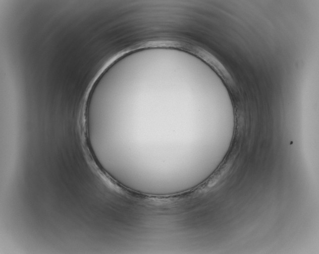 X0000112400852200908141004