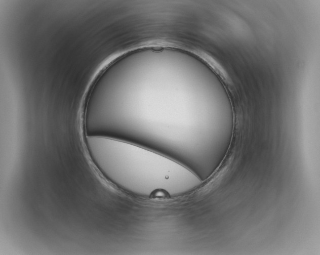 X0000112400854200908141004