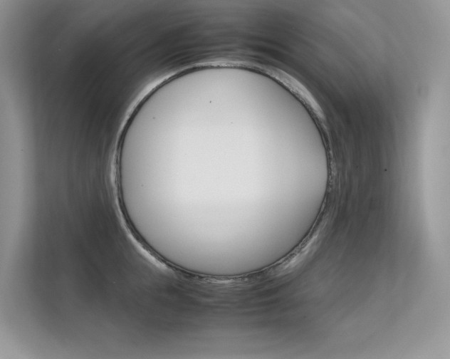 X0000112400855200908141004