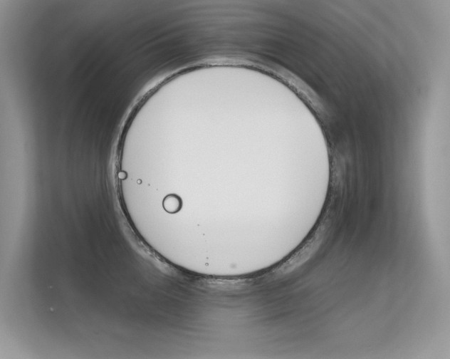 X0000112400856200908141004