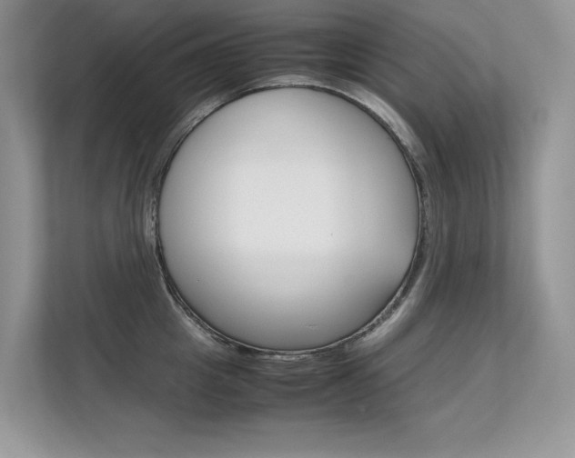 X0000112400857200908141004