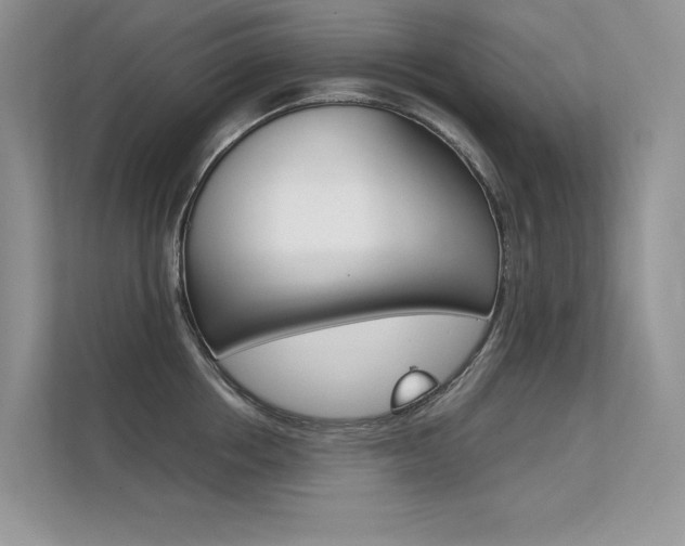 X0000112400858200908141004