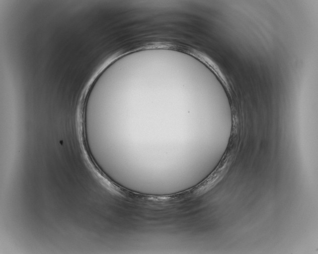 X0000112400859200908141004