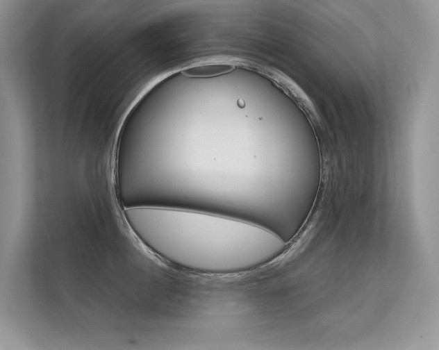 X0000112400860200908141004